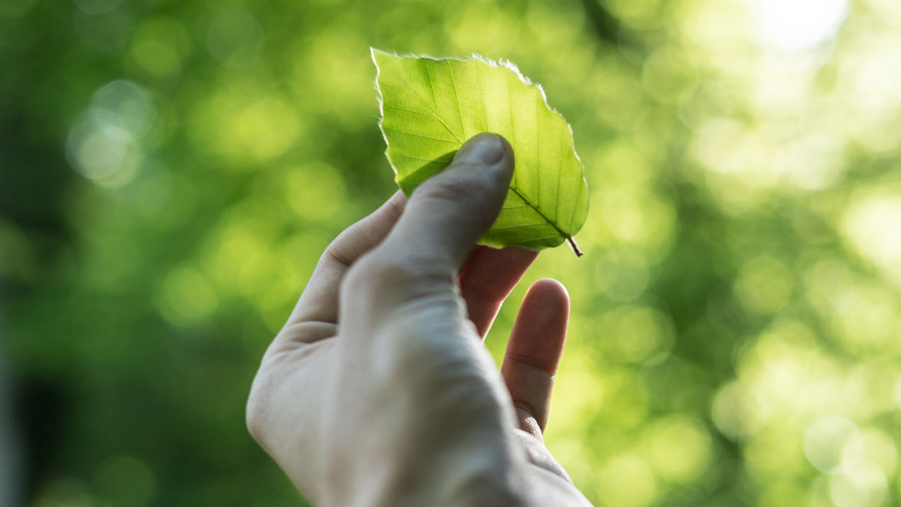 Sustainability and paper solutions - Photo 2